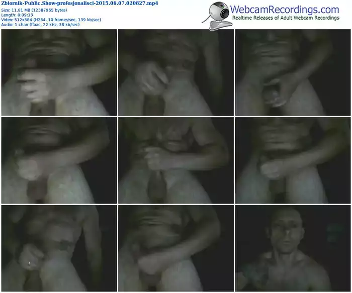 zbiornik-profesjonalisci-public-show-06_07_2015-02_08_27