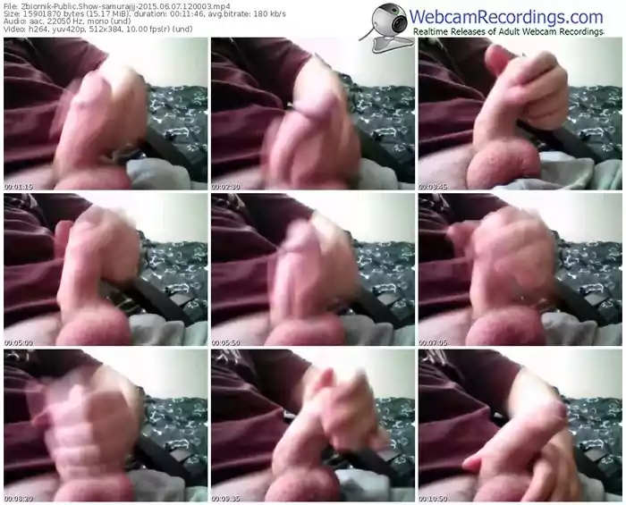 zbiornik-samurajjj-public-show-06_07_2015-12_00_03