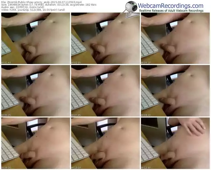 zbiornik-uroczy_andy-public-show-06_07_2015-11_05_03