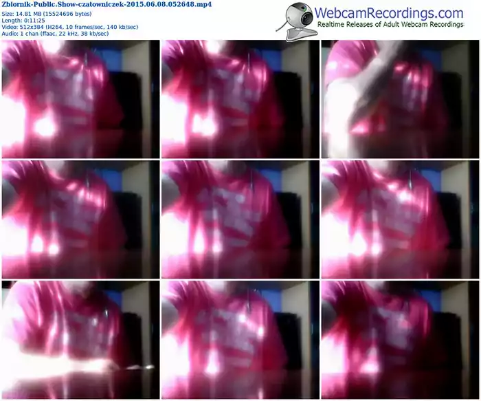 zbiornik-czatowniczek-public-show-06_08_2015-05_26_48