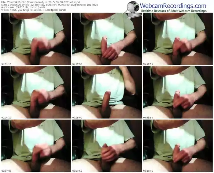 zbiornik-zenekblus-public-show-06_08_2015-02_31_46