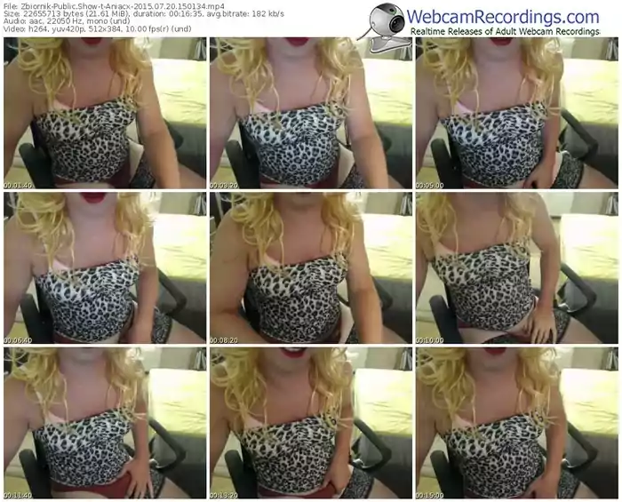 zbiornik-aniacx-public-show-07_20_2015-15_01_34