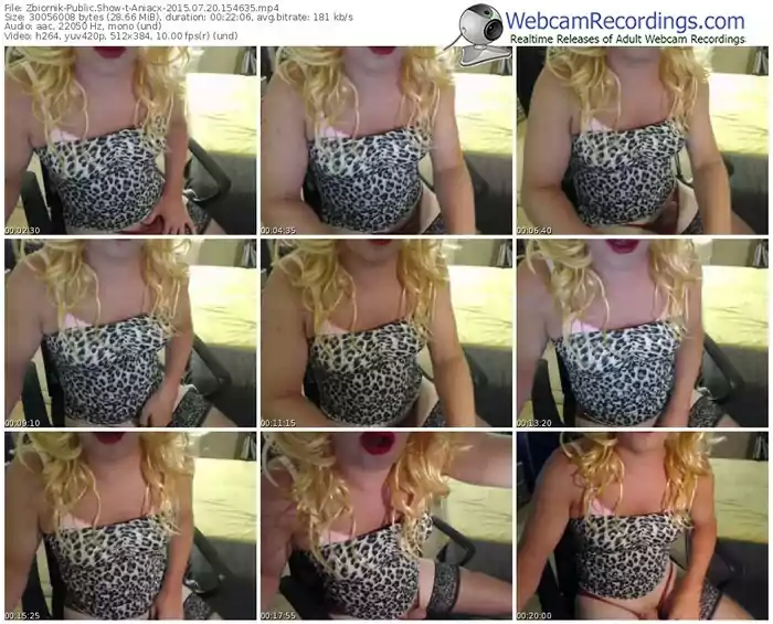 zbiornik-aniacx-public-show-07_20_2015-15_46_35