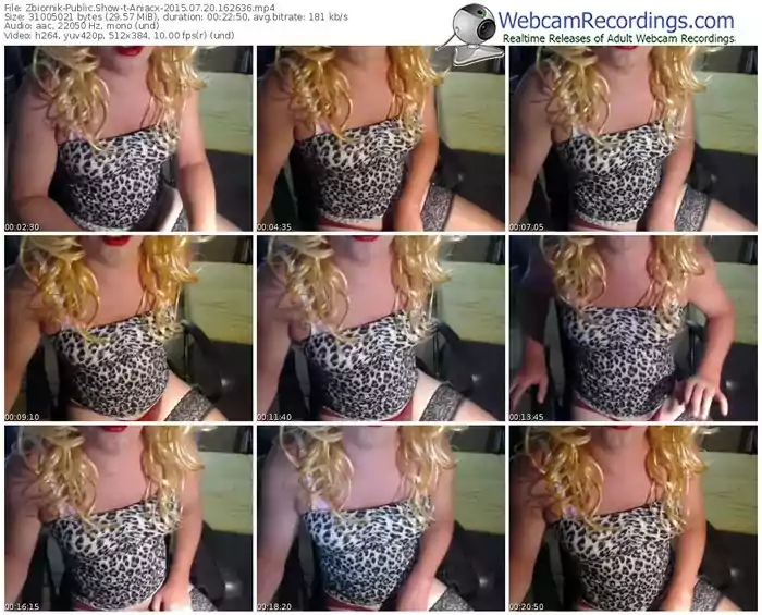 zbiornik-aniacx-public-show-07_20_2015-16_26_36