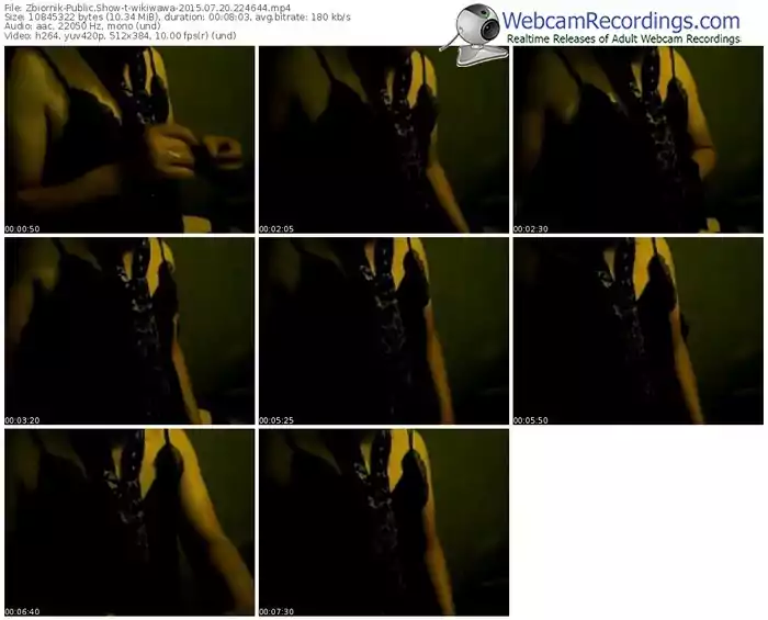 zbiornik-wikiwawa-public-show-07_20_2015-22_46_44