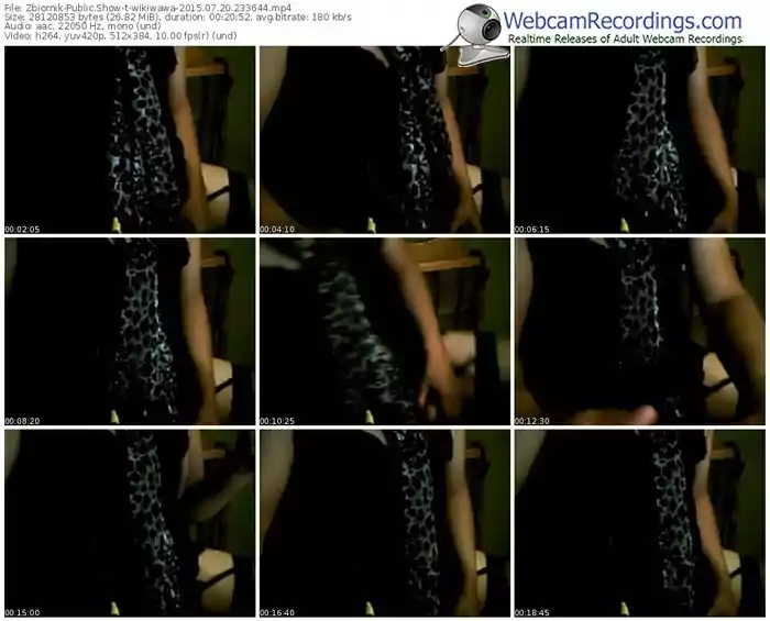 zbiornik-wikiwawa-public-show-07_20_2015-23_36_44