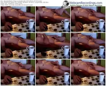 zbiornik-anakondas-public-show-08_01_2015-07_33_53