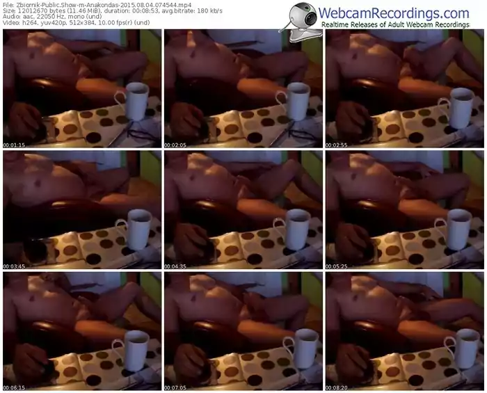 zbiornik-anakondas-public-show-08_04_2015-07_45_44