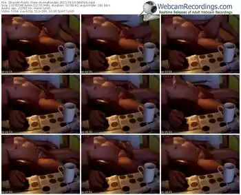 zbiornik-anakondas-public-show-08_04_2015-08_05_44