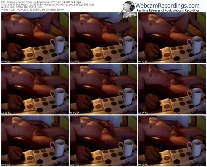 zbiornik-anakondas-public-show-08_04_2015-08_05_44