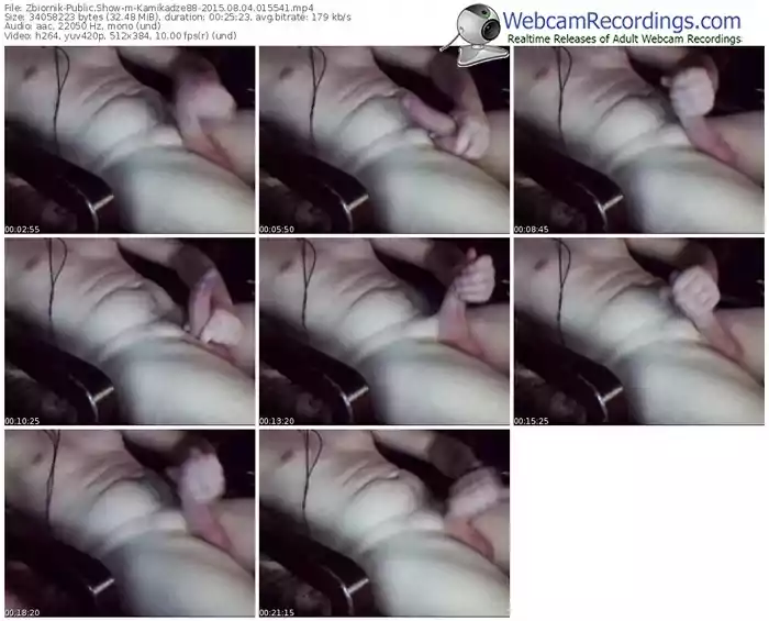 zbiornik-kamikadze88-public-show-08_04_2015-01_55_41