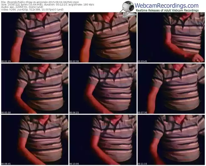 zbiornik-arizonski-public-show-08_04_2015-04_25_42