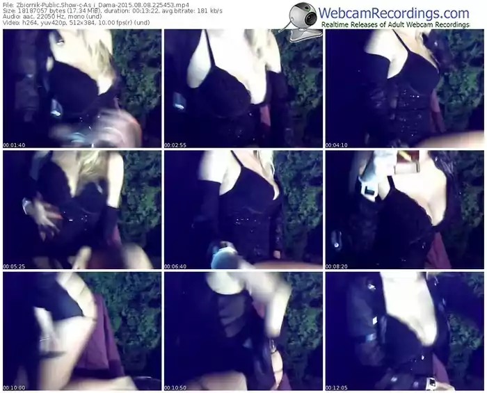 zbiornik-as_i_dama-public-show-08_08_2015-22_54_53