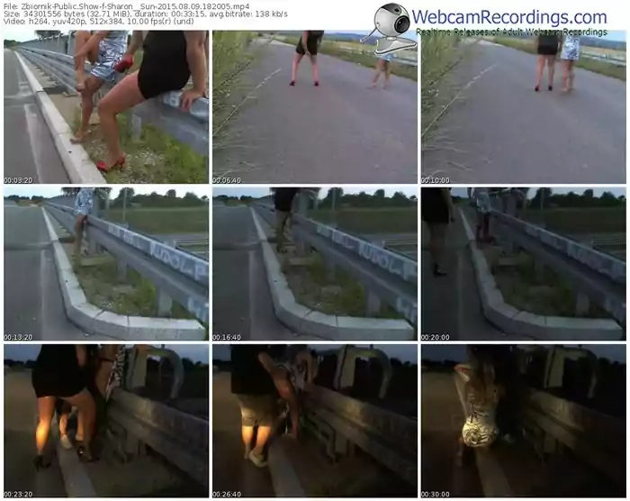 zbiornik-sharon__sun-public-show-08_09_2015-18_20_05