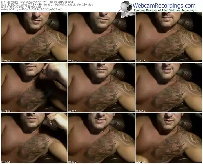 zbiornik-shiru-public-show-08_09_2015-20_45_08