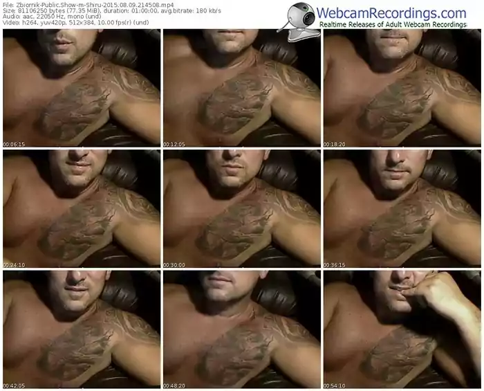 zbiornik-shiru-public-show-08_09_2015-21_45_08