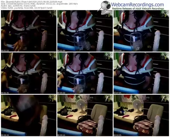 zbiornik-bitch30-public-show-08_09_2015-21_05_09