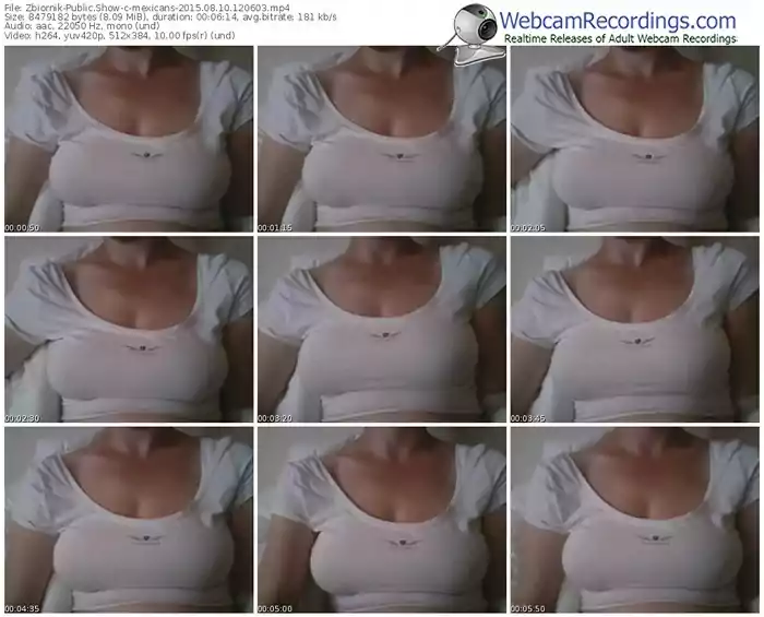 zbiornik-mexicans-public-show-08_10_2015-12_06_03