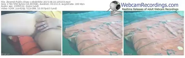 zbiornik-zboki50bi-public-show-08_10_2015-10_51_03