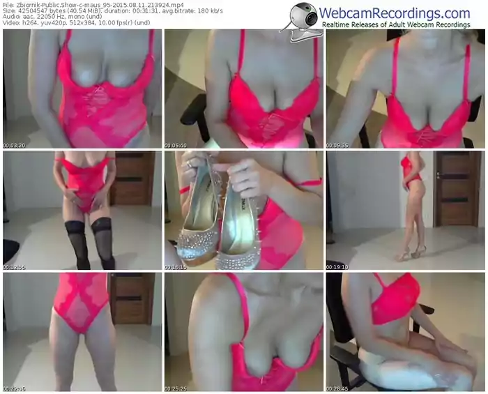 zbiornik-maus_95-public-show-08_11_2015-21_39_24