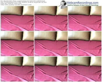 zbiornik-wspolnezabawy327-public-show-08_11_2015-04_54_22