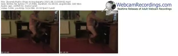 zbiornik-boydoparty-public-show-08_13_2015-00_34_42