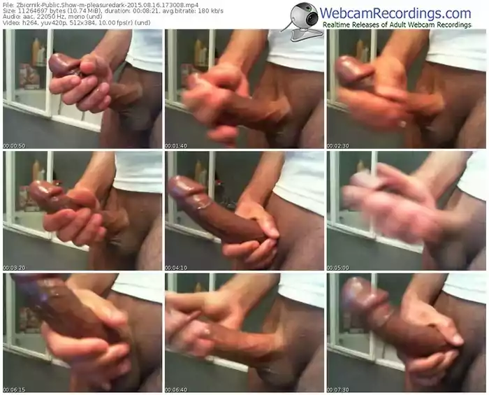 zbiornik-pleasuredark-public-show-08_16_2015-17_30_08