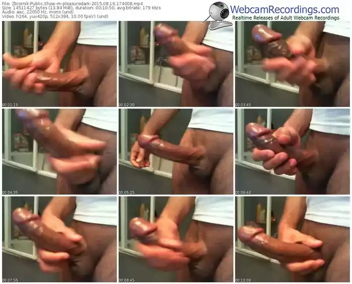 zbiornik-pleasuredark-public-show-08_16_2015-17_40_08