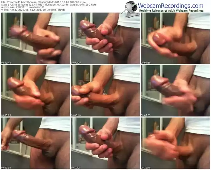 zbiornik-pleasuredark-public-show-08_16_2015-18_00_09