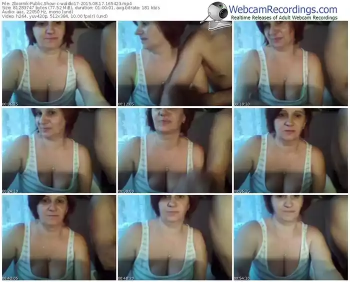 zbiornik-waldki17-public-show-08_17_2015-16_54_23