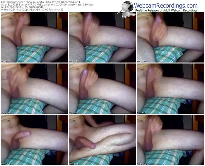 zbiornik-mortal100-public-show-08_18_2015-00_59_24