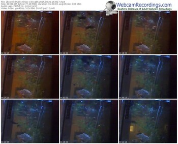 zbiornik-kicia85-public-show-08_20_2015-15_35_17