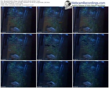 zbiornik-kicia85-public-show-08_20_2015-16_35_17