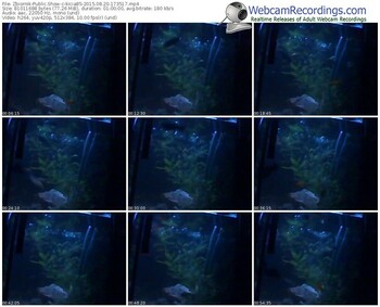 zbiornik-kicia85-public-show-08_20_2015-17_35_17