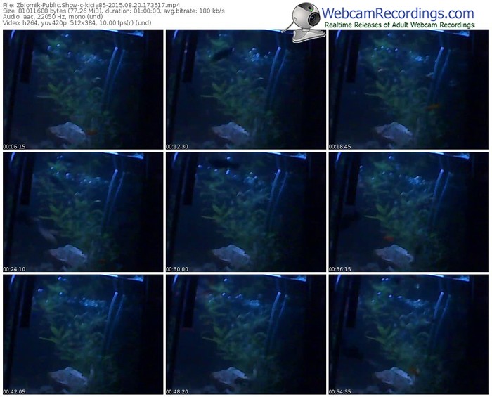 zbiornik-kicia85-public-show-08_20_2015-17_35_17