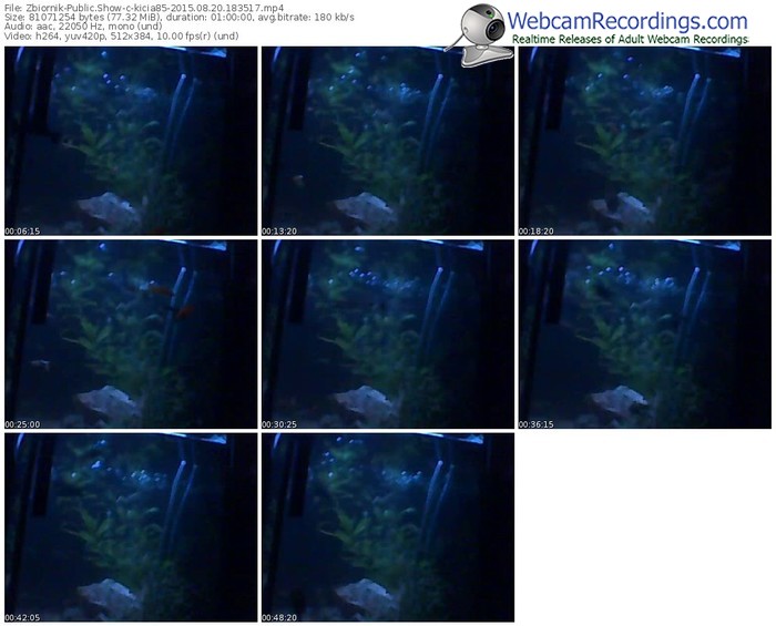 zbiornik-kicia85-public-show-08_20_2015-18_35_17