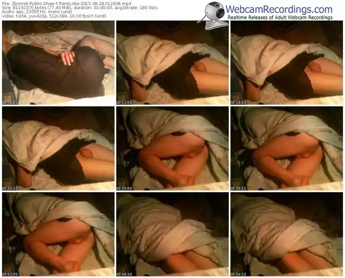 zbiornik-translidia-public-show-08_28_2015-01_26_08