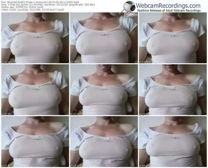 zbiornik-mexicans-public-show-08_29_2015-11_16_20