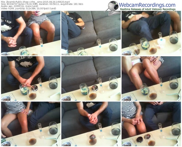 zbiornik-the__sims-public-show-08_29_2015-14_56_20