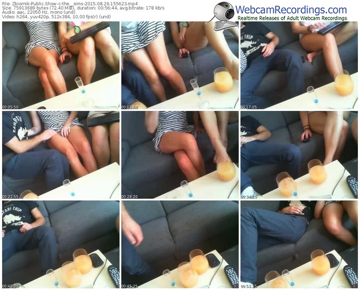 zbiornik-the__sims-public-show-08_29_2015-15_56_23