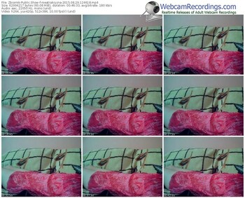 zbiornik-nieatrakcyjna-public-show-08_29_2015-12_46_18