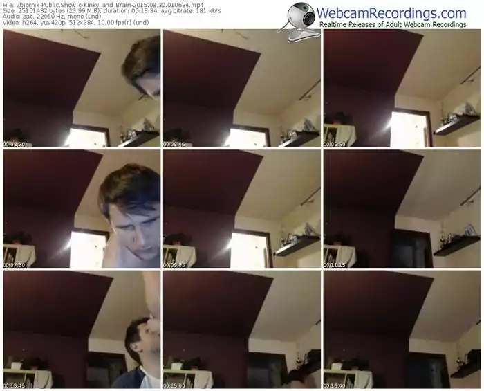 zbiornik-kinky_and_brain-public-show-08_30_2015-01_06_34