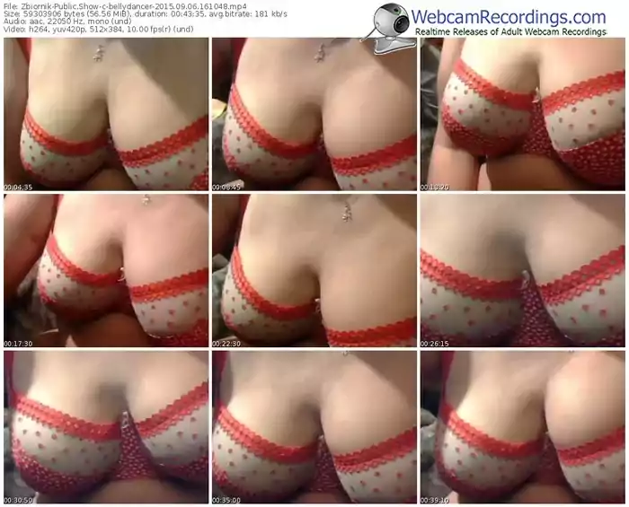 zbiornik-bellydancer-public-show-09_06_2015-16_10_48