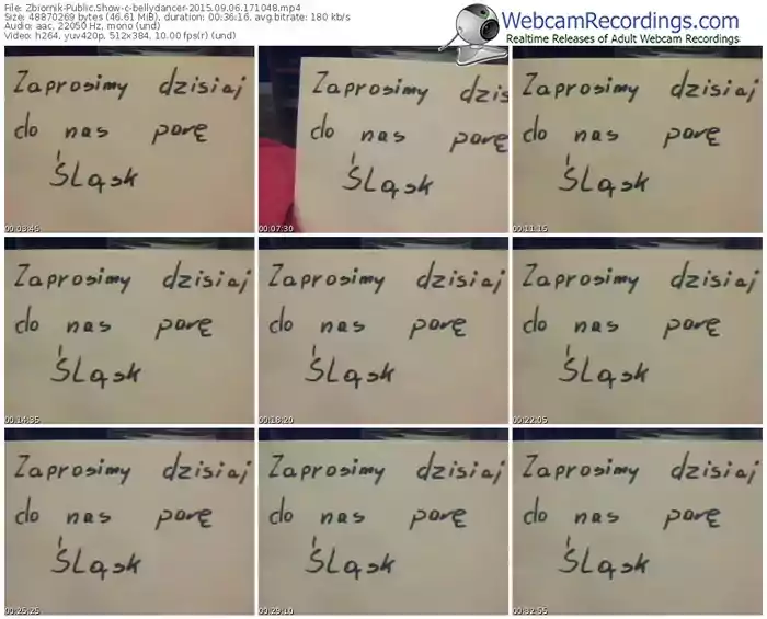 zbiornik-bellydancer-public-show-09_06_2015-17_10_48