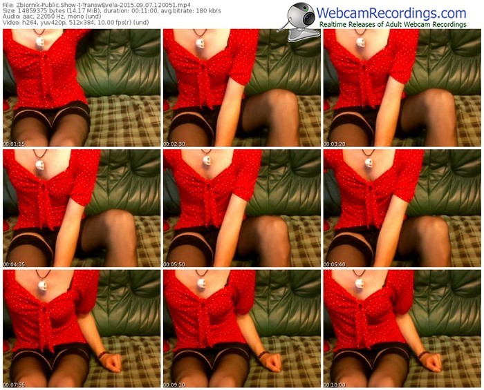 zbiornik-transwevela-public-show-09_07_2015-12_00_51