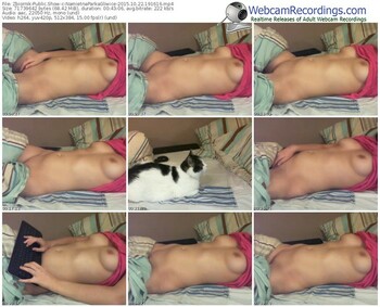 zbiornik-namietnaparkagliwice-webcam-show-10_22_2015-19_16_16