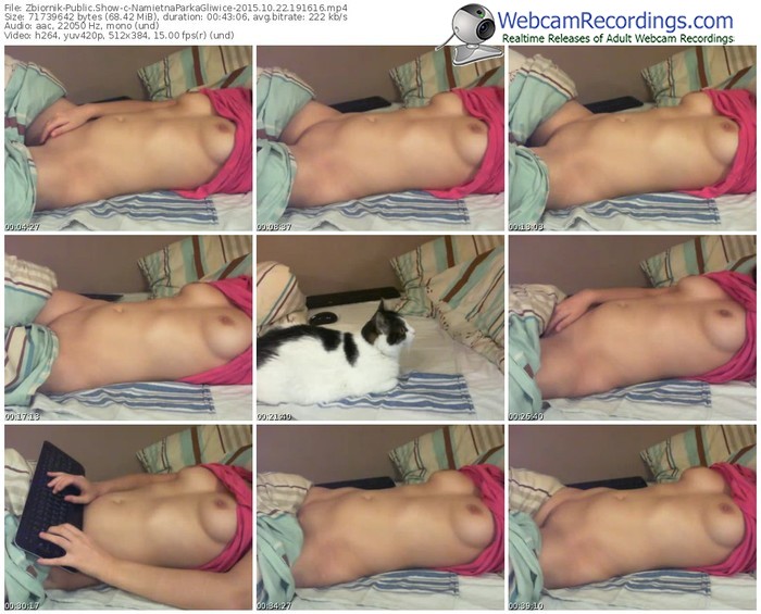 zbiornik-namietnaparkagliwice-webcam-show-10_22_2015-19_16_16