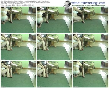 zbiornik-lesneszyszeczkiparka-webcam-show-10_31_2015-13_58_48