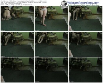 zbiornik-lesneszyszeczkiparka-webcam-show-11_12_2015-13_20_51
