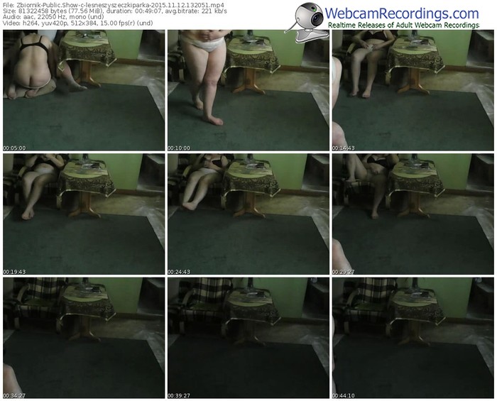 zbiornik-lesneszyszeczkiparka-webcam-show-11_12_2015-13_20_51
